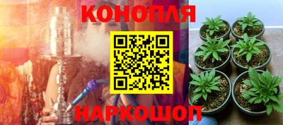 mdpv Новодвинск