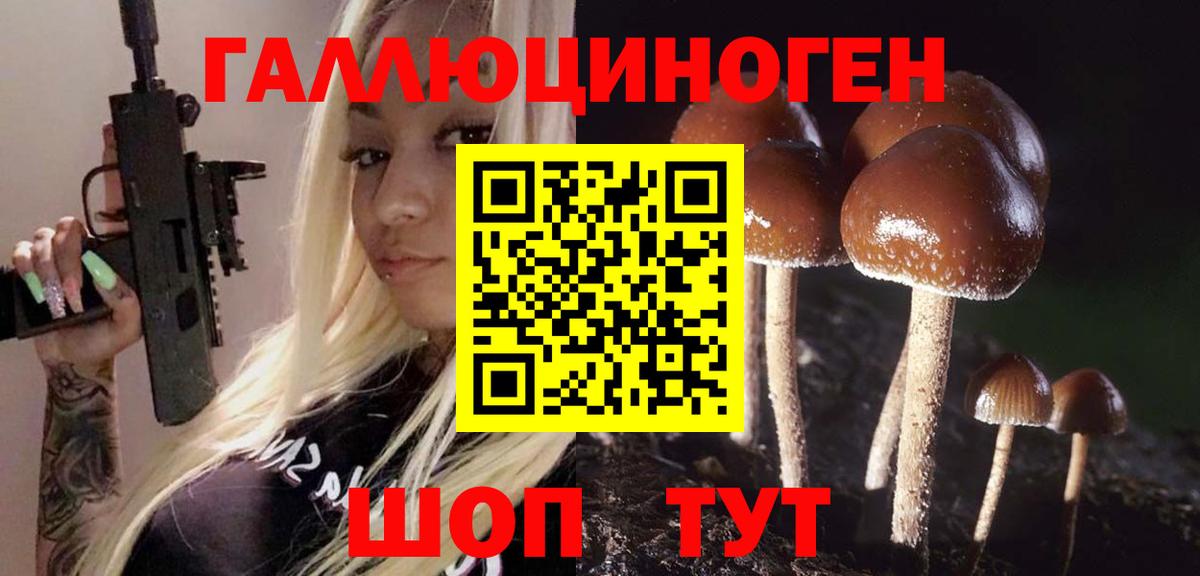 Псилоцибиновые грибы GOLDEN TEACHER  Псилоцибиновые грибы Psilocybe  Вход с VPN  Братск 